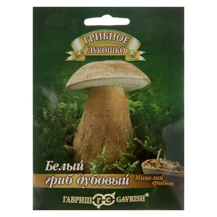 Семена Мицелий Белый гриб , дубовый на зерновом субстрате, 15 мл  #1
