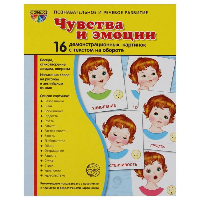 Демонстрационные картинки "Чувства и эмоции" 16 картинок с текстом, 173х220мм  #1