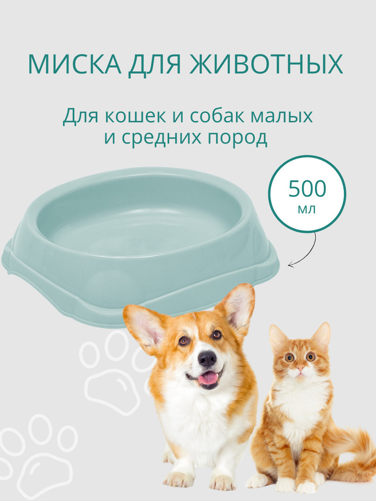Миска для кошек, для собак DD Style / Пластиковая миска для воды и корма, ментоловый, 500 мл  #1