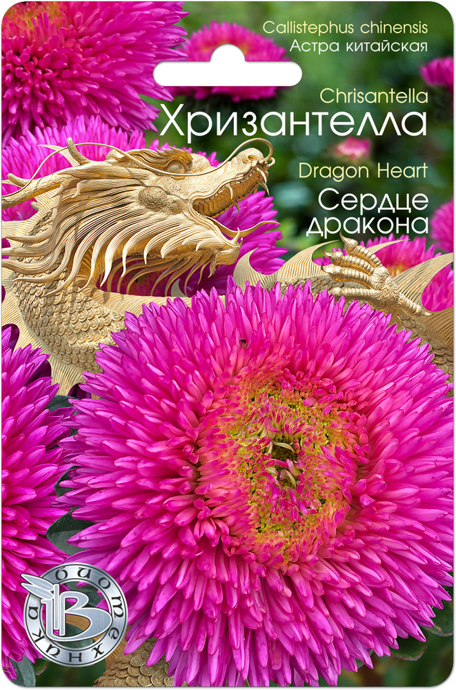 Астра китайская Хризантелла Сердце Дракона (семена БИОТЕХНИКА, 30 шт.)  #1