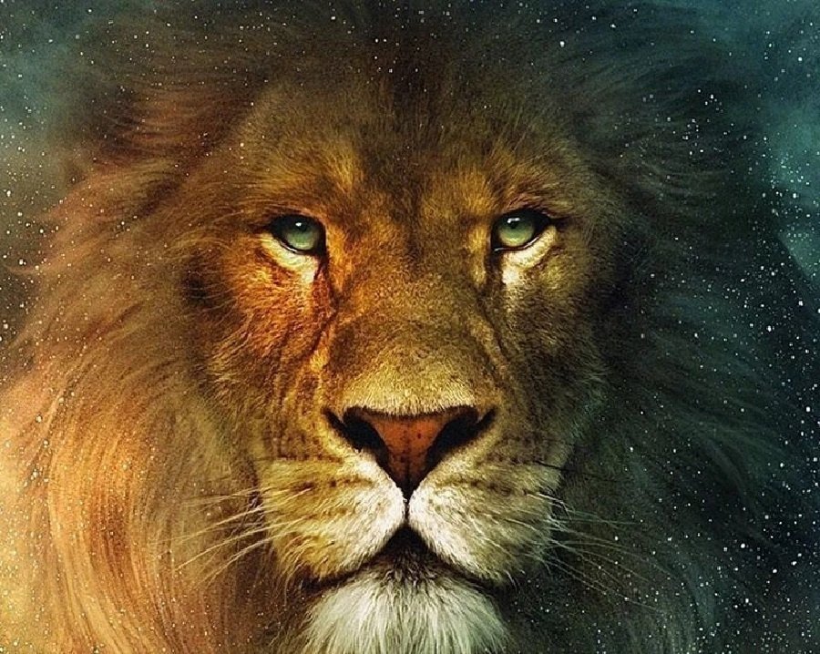 Картина по номерам на холсте 40х50 "Повелитель джунглей. Лев. Животные."  #1