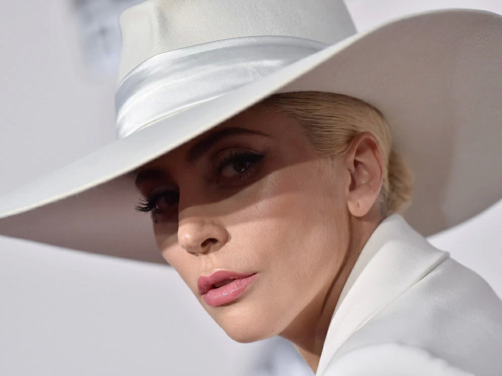 плакат, постер Lady Gaga, Леди Гага на холсте, размер 60х84см #1