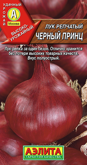 Лук репчатый Черный принц лук-репка за один сезон #1