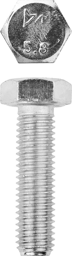 ЗУБР M12 x 40 мм, 5 кг, оцинкованный, болт ГОСТ 7798-70 303080-12-040 Мастер  #1