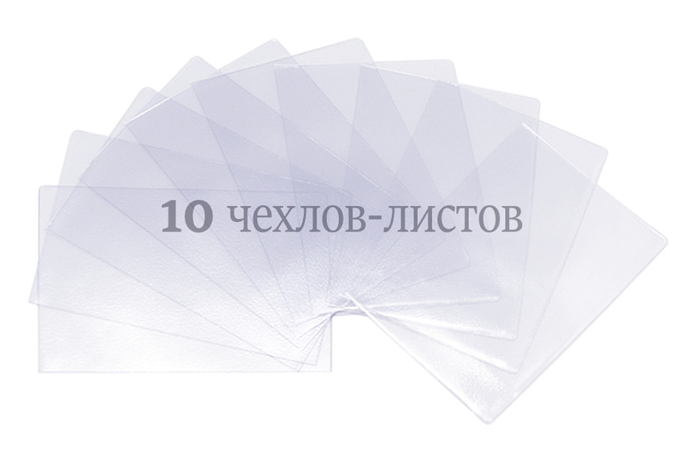 Чехлы на листы паспорта ДПСКАНЦ, 10 шт #1