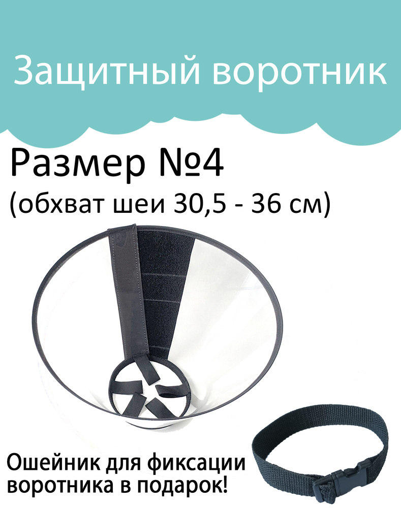 Воротник для собак, животных, защитный, ветеринарный №4 (обхват шеи 30,5 - 36 см, глубина 15 см)  #1