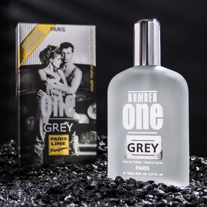 Туалетная вода мужская Grey Intense Perfume, 100 мл #1