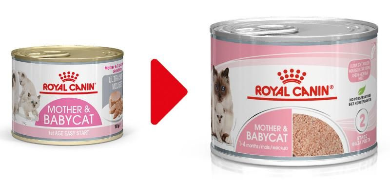 Влажный корм Royal Canin Mother & Babycat (Babycat Instinctive canned) 6 шт. х 195 г (мусс)  #1