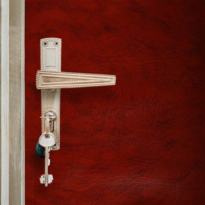 Комплект для обивки дверей 110 x 205 см: искусственная кожа, поролон 5 мм, гвозди, струна, рыжий, "Рулон" #1
