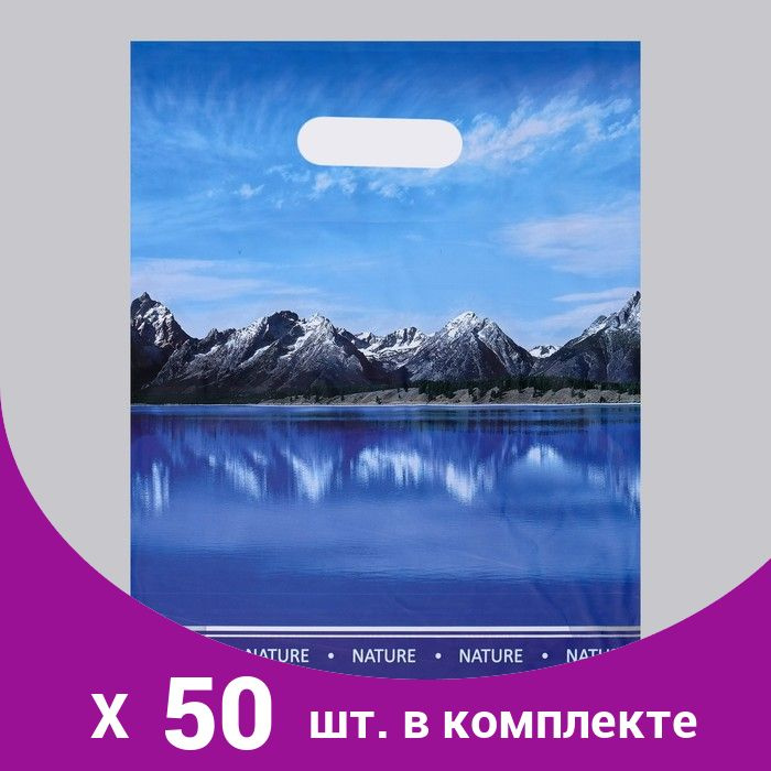 Пакет 'Озеро' полиэтиленовый с вырубной ручкой, 31х40 см, 60 мкм (50 шт)  #1