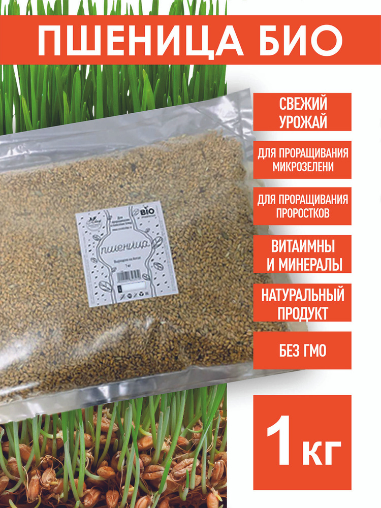 Пшеница Семена БИО для проращивания, 1 кг. #1