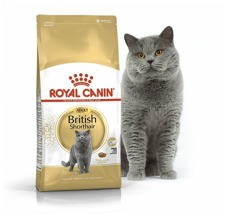 Сухой корм для кошек Royal Canin Британская короткошерстная, 2 кг  #1