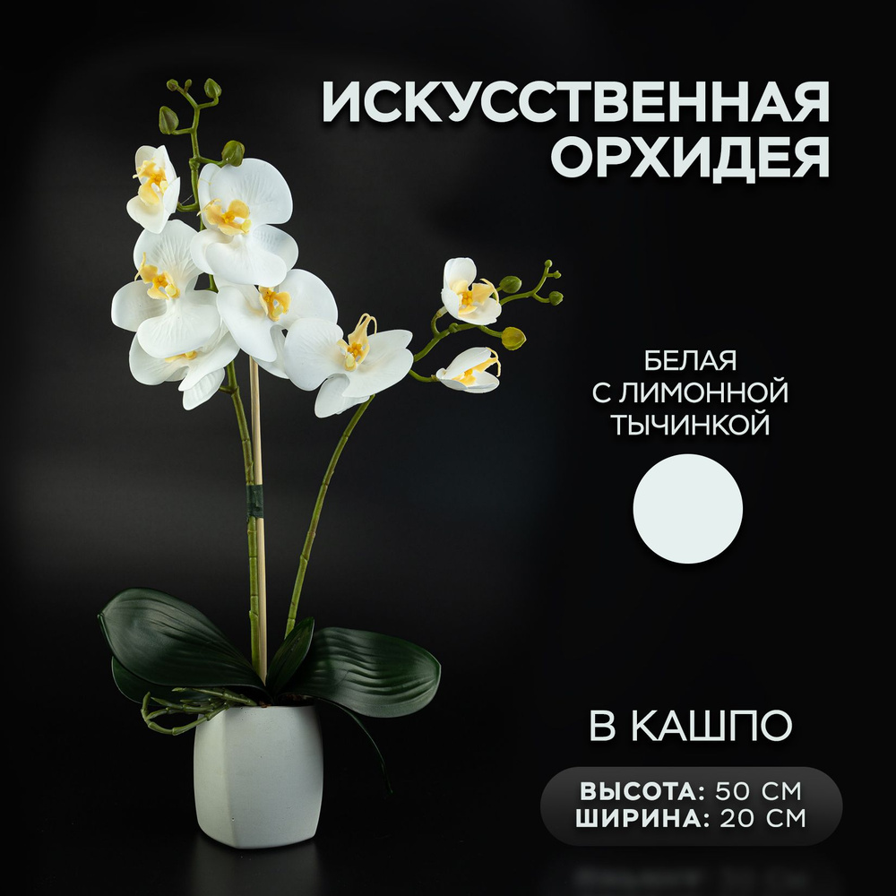 Видео мастер-класс по созданию орхидеи из фоамирана от EleonFlowers без вайнеров и молдов