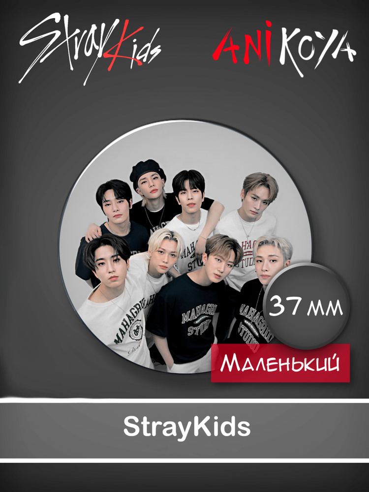 Значки к-pop Стрей Кидс / Stray Kids 37 мм AniKoya мерч #1