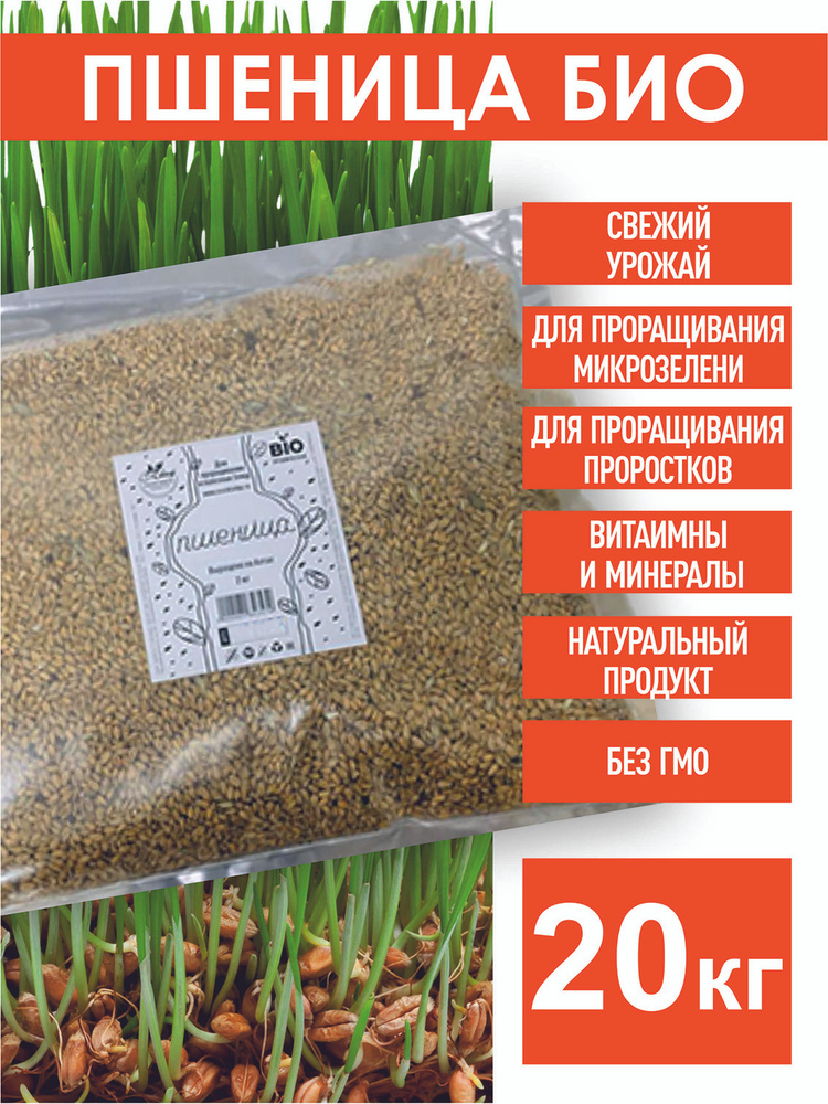 Пшеница Семена БИО, 20 кг #1