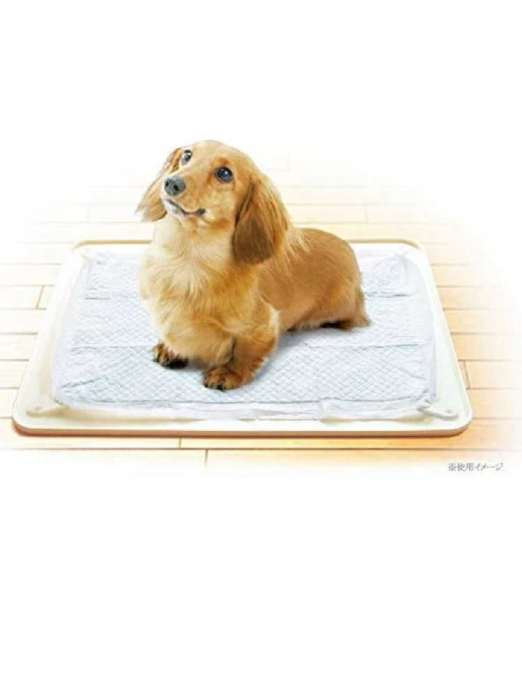 Коврик-лоток для собачьих пеленок Japan Premium Pet, широкий #1