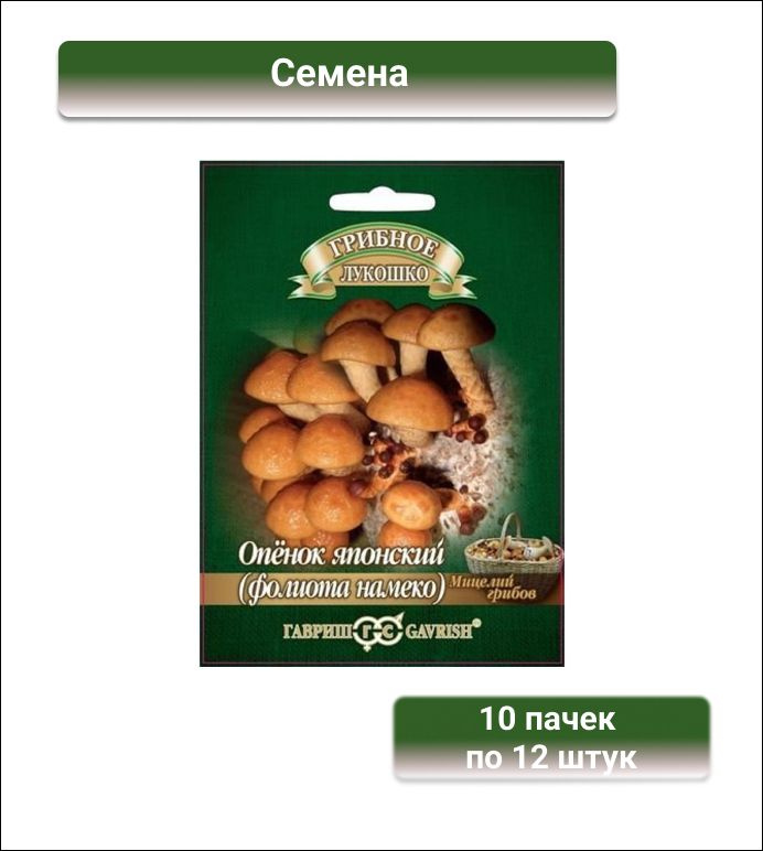 Гавриш Опенок японский Фолиото намеко на древесной палочке, большой пакет, 10 пачек по 12 штук  #1