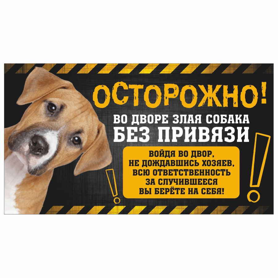 Табличка, с юмором, прикол, DANGER DOG, Осторожно! Во дворе злая собака без привязи, 25x14 см  #1