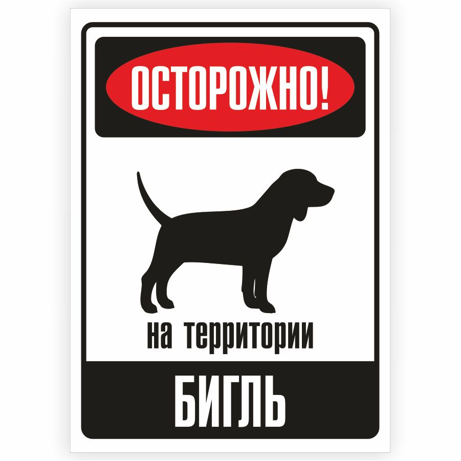 Табличка, металлическая, DANGER DOG, Осторожно! На территории Бигль, 18x25 см  #1