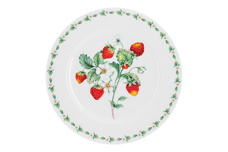 Набор обеденных тарелок 6 шт 27 см из костяного фарфора Земляничная поляна Anna Lafarg Emily  #1