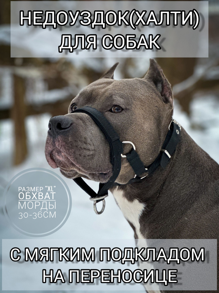 Недоуздок(халти) TESLA COLLAR для собак "XL" #1