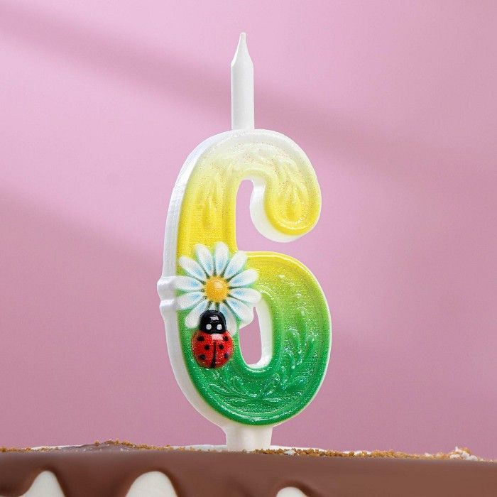 Свечи для торта Омский свечной завод "Ромашки" цифра "6", разноцветный  #1