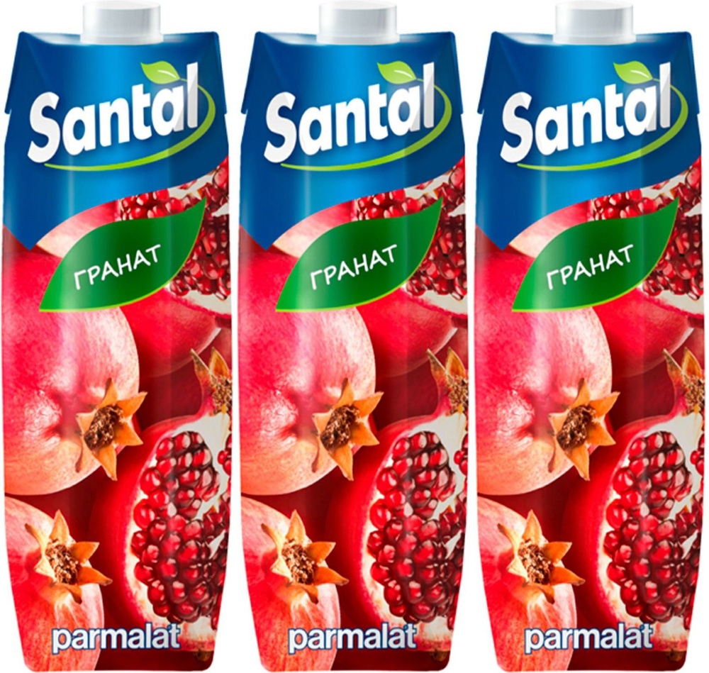 Напиток сокосодержащий Santal гранат, комплект: 3 упаковки по 1 л  #1
