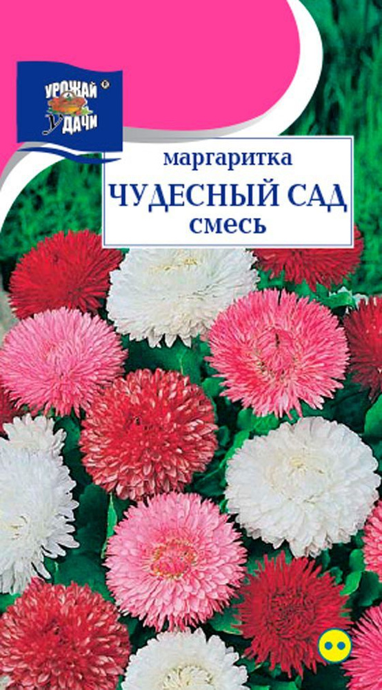 Семена Маргаритка ЧУДЕСНЫЙ САД Смесь (Семена УРОЖАЙ УДАЧИ, 0,05г в упаковке)  #1