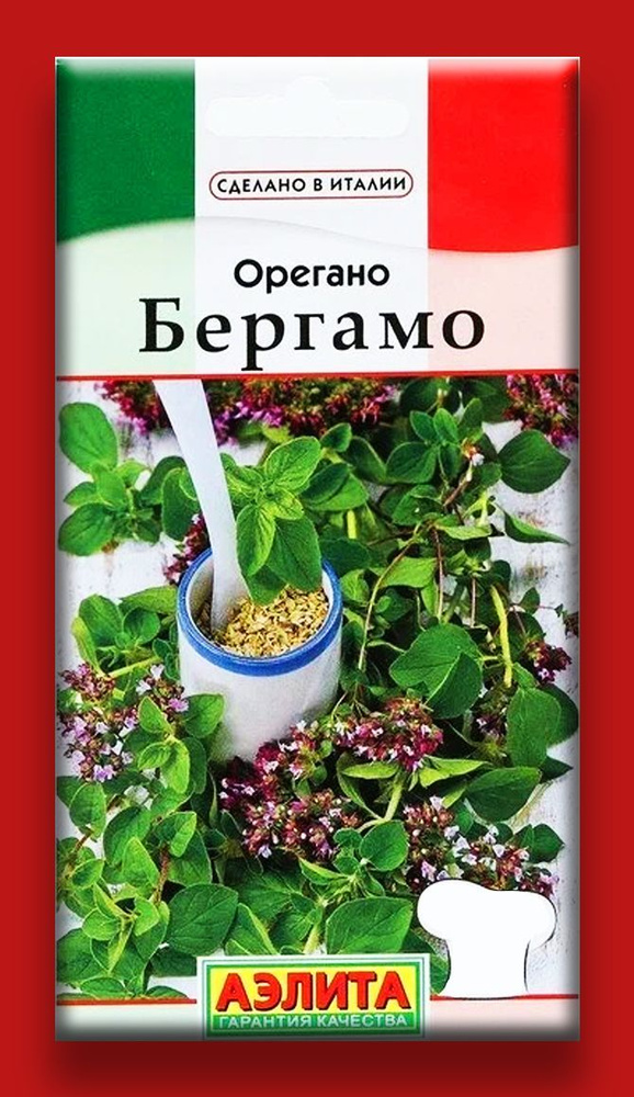 Сделано в Италии! Семена Орегано Бергамо 0,05 г. (Аэлита) #1