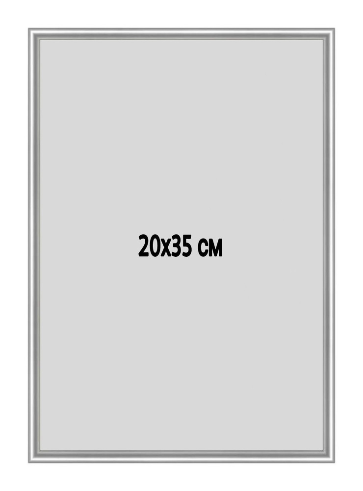 Фоторамка металлическая (алюминиевая) серебристая для постера, фотографии, картины 20х35 см. Рамка для #1