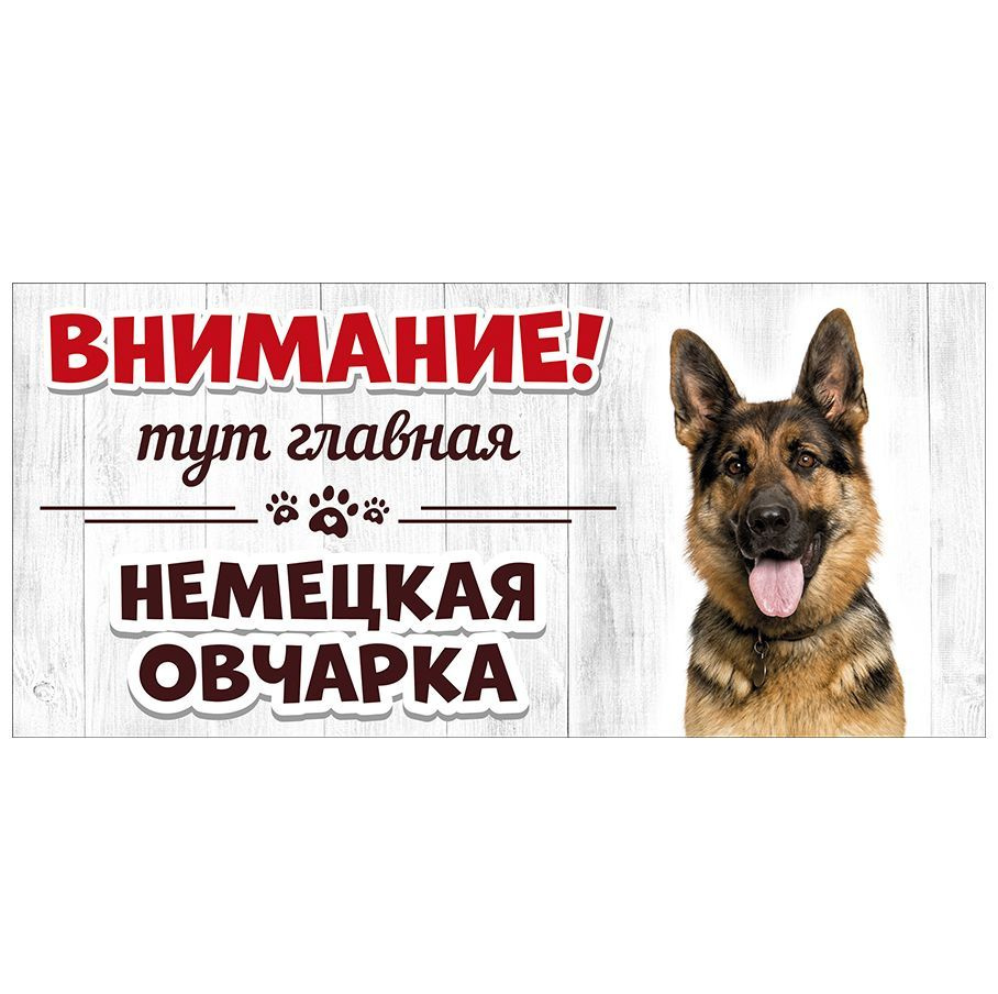 Табличка, Злая собака, Тут главная Немецкая овчарка, на металлической основе, 30см х 14 см, на забор, #1