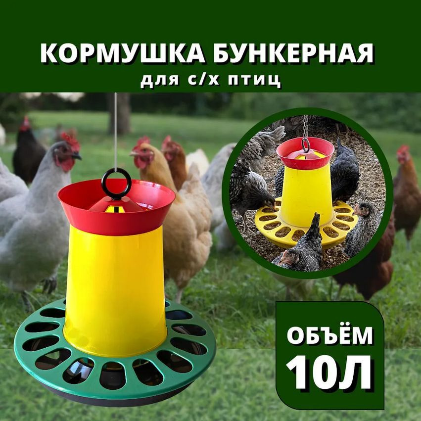 Бункерная Кормушка 10л для птиц, кур, несушек #1