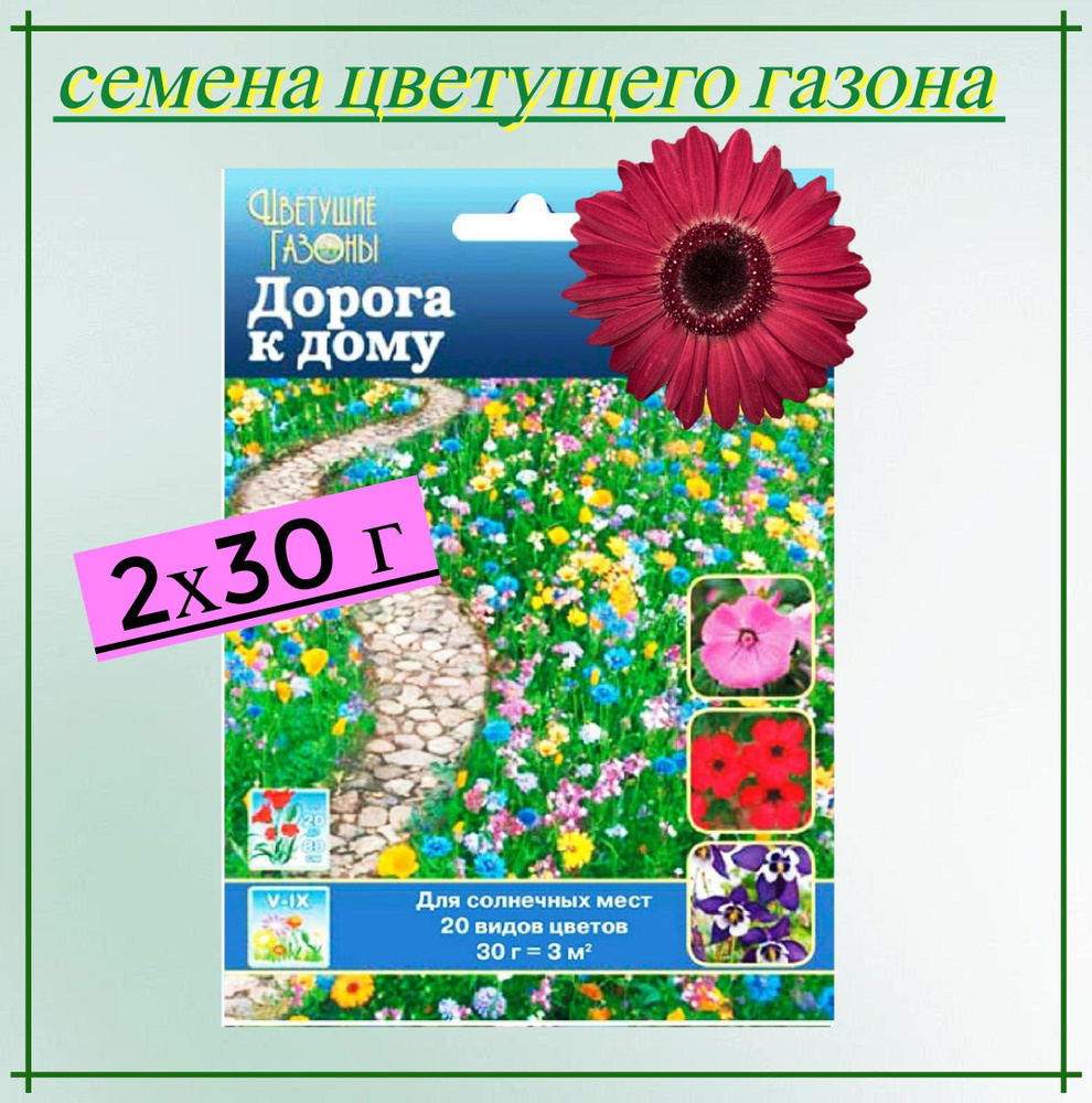 Газон цветущий "Дорога к дому" 2x30 г, семена. Светолюбивая травяная смесь с ароматными бутонами подойдет #1