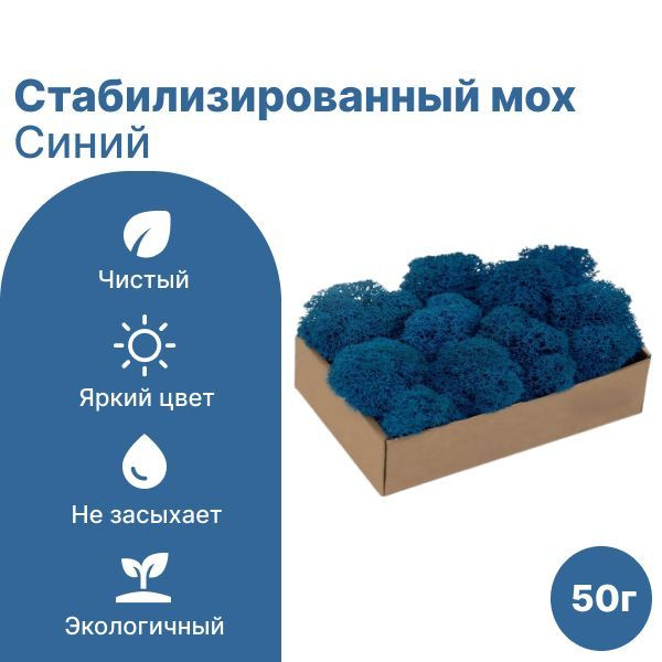 Сибирский Мох Стабилизированный мох Мох, 50 гр, 1 шт #1