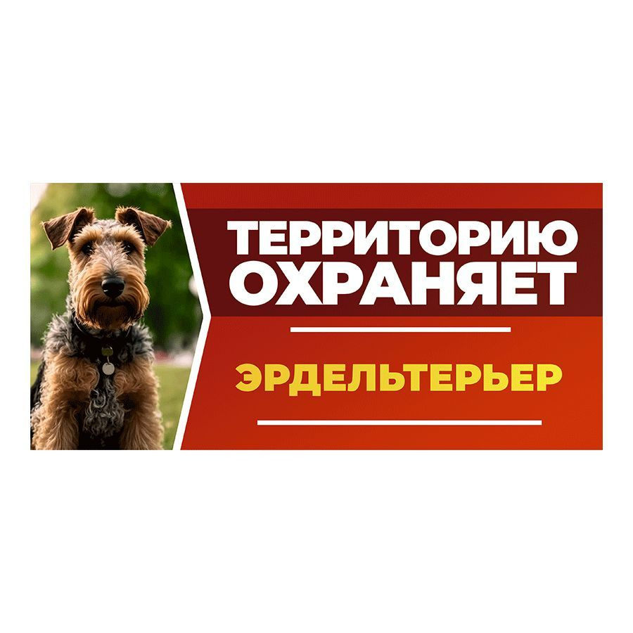 Табличка, DANGER DOG, Эрдельтерьер, на забор, 30см х 14см #1