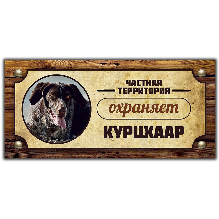 Табличка, Злая собака, Территорию охраняет Курцхаар, 30см х 14 см, на забор, на дверь  #1