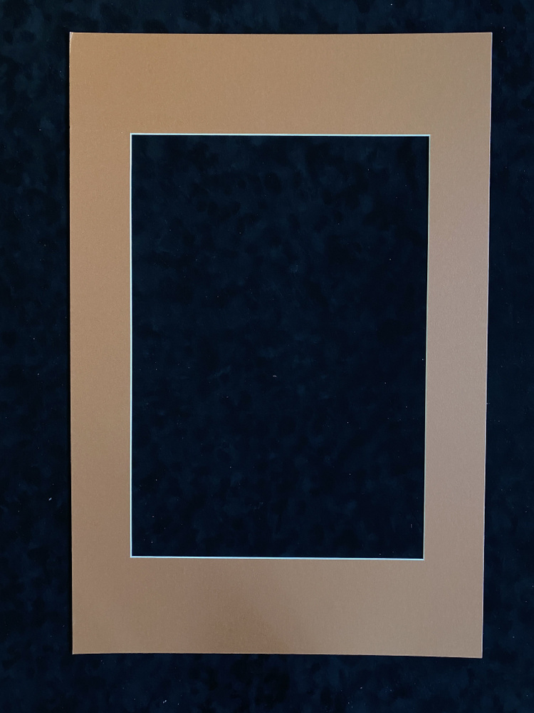 Столица Рамок Фоторамка "Паспарту 40х60 см светло-коричневый ", 1 фото  #1