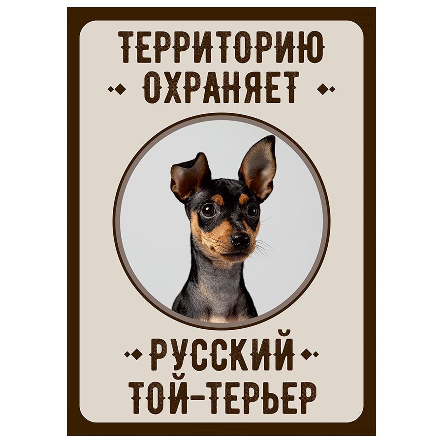 Табличка, Злая собака, Территорию охраняет Русский той-терьер, на металлической основе, 18см х 25 см, #1