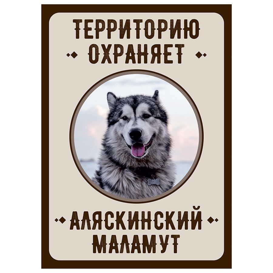 Табличка, Злая собака, Территорию охраняет Аляскинский маламут, на металлической основе, 18см х 25 см, #1