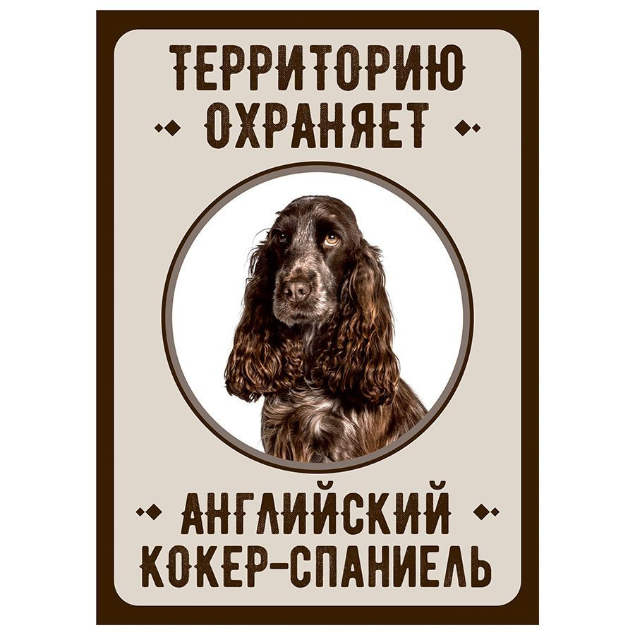 Табличка, Злая собака, Территорию охраняет Английский кокер-спаниель, на металлической основе, 18см х #1