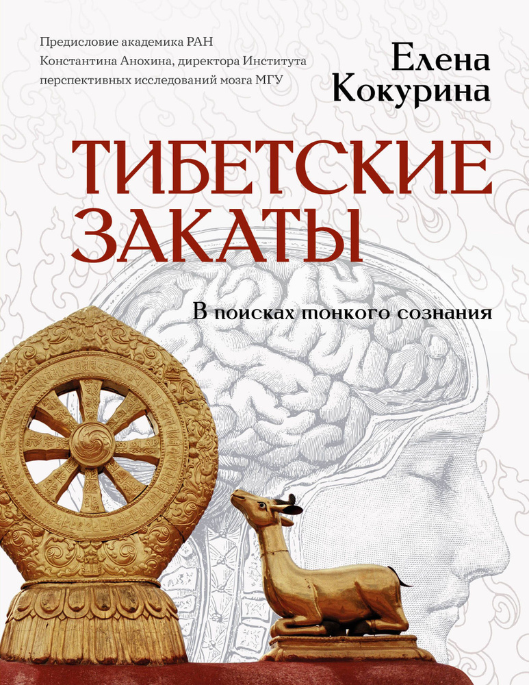 Тибетские закаты. В поисках тонкого сознания | Кокурина Елена Вячеславовна  #1