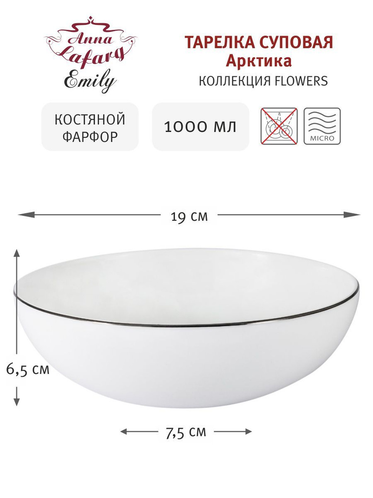 Набор суповых тарелок 6 шт 19 см из костяного фарфора Арктика Anna Lafarg Emily  #1