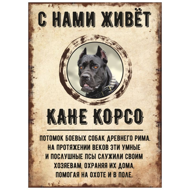 Табличка, декоративная, DANGER DOG, С нами живет Кане-корсо, 18см х 25см  #1