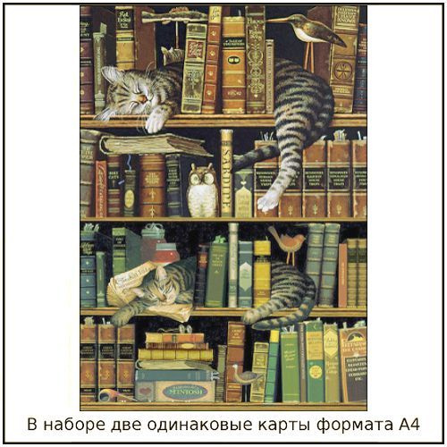 Декупажная карта набор, бумага, салфетки для декупажа 2 шт Кошки в библиотеке  #1