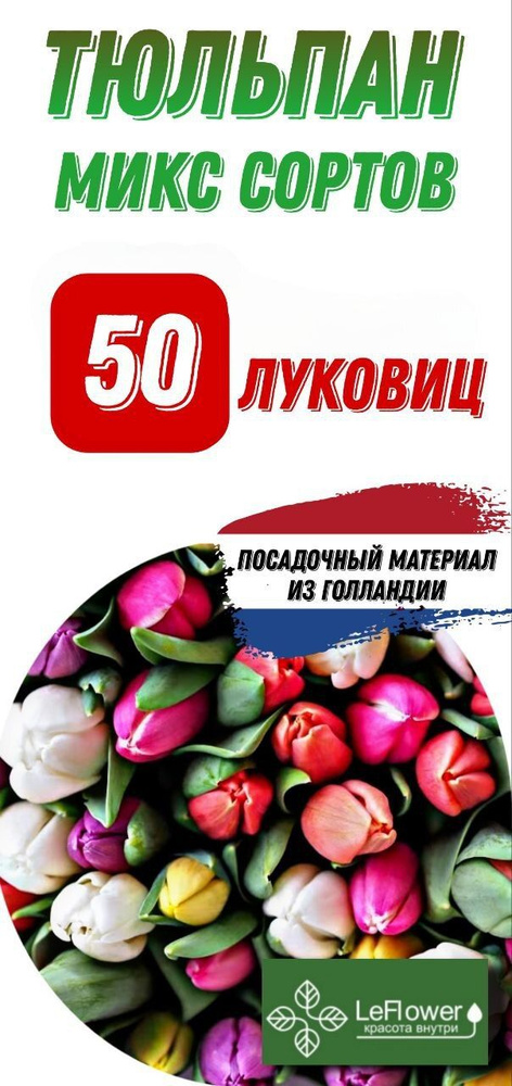 Тюльпан Луковица, Микс сортов, 50шт #1