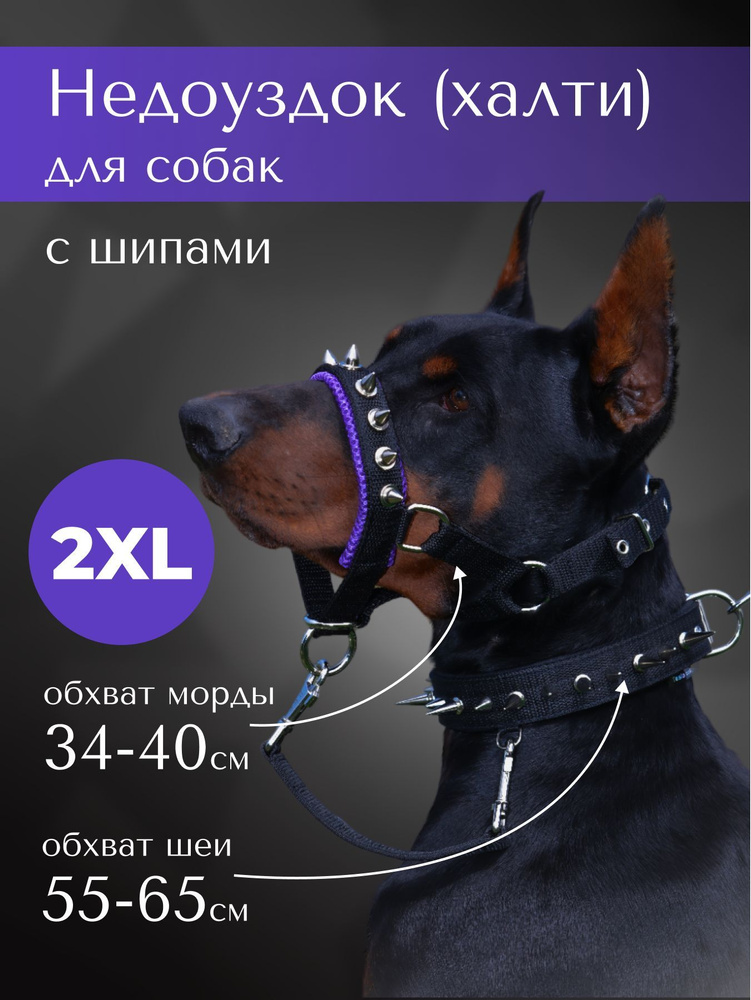 Недоуздок(халти)с шипами TESLA COLLAR для собак "2XL" с фиолетовым подкладом  #1