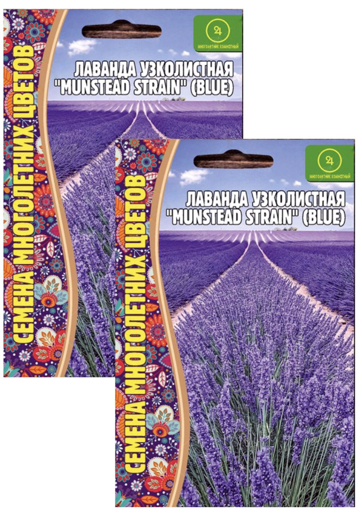 Лаванда узколистная Munstead Strain (blue), 2 пакета, семена 30 шт, многолетний полукустарник  #1