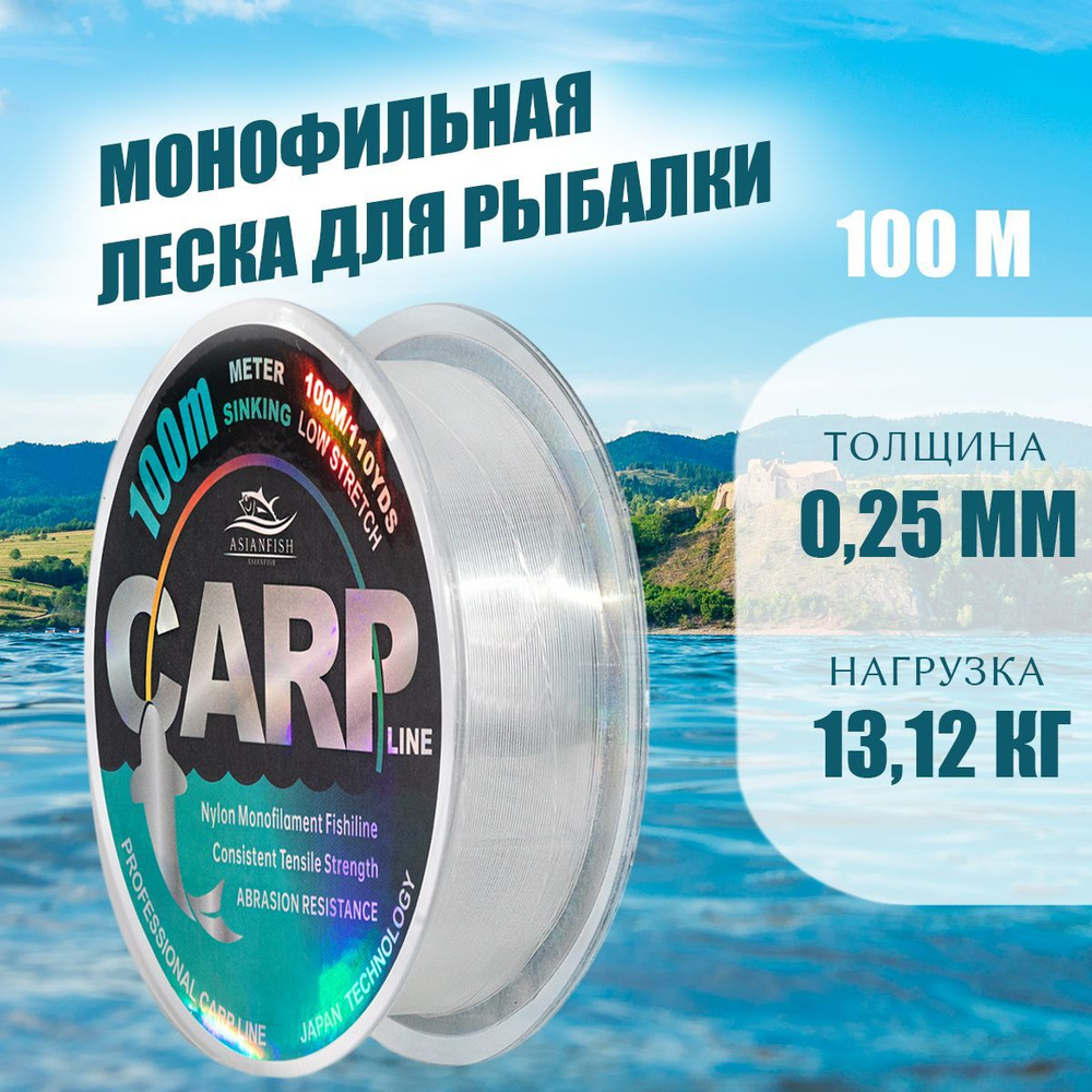 ASIANFISH Монофильная леска для рыбалки, размотка: 100 м, толщина: 0.25 мм  #1