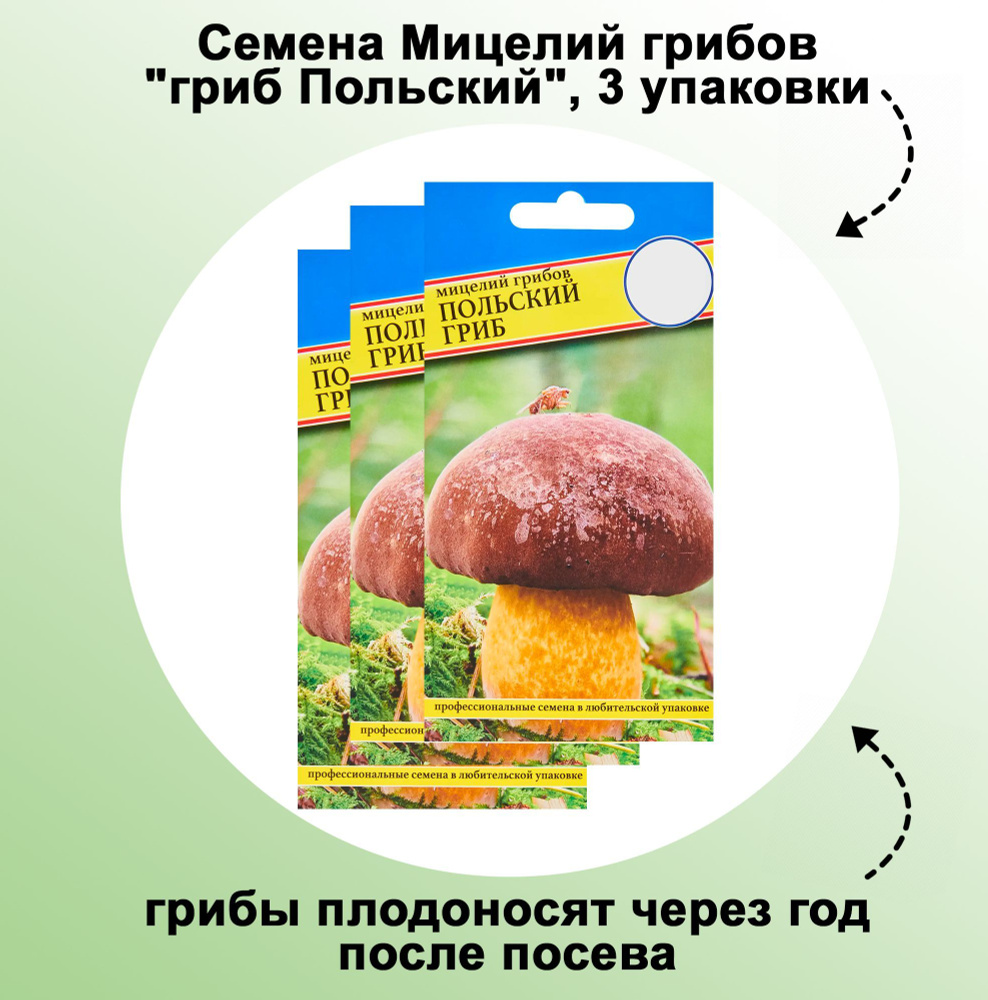 Семена Мицелий грибов "гриб Польский", 3 упаковки: отлично растет на приусадебном участке. Высаживают #1