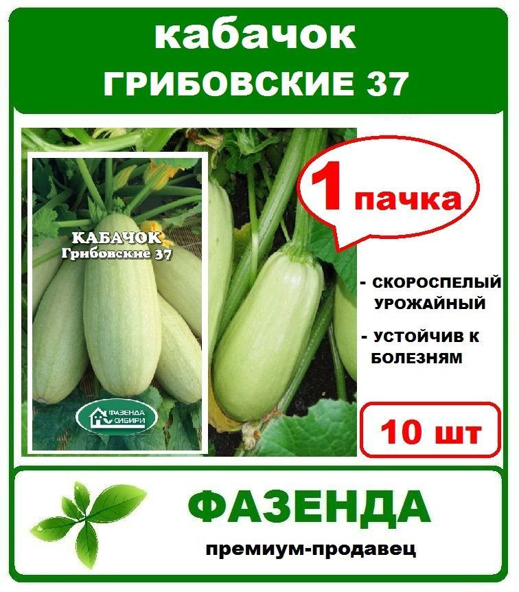 Семена, Кабачок Грибовские 37, 1 пачка 10 шт, Фазенда Сибири  #1